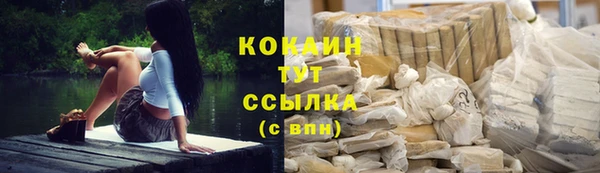 дмт Горняк