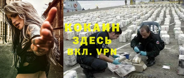 первитин Гусев