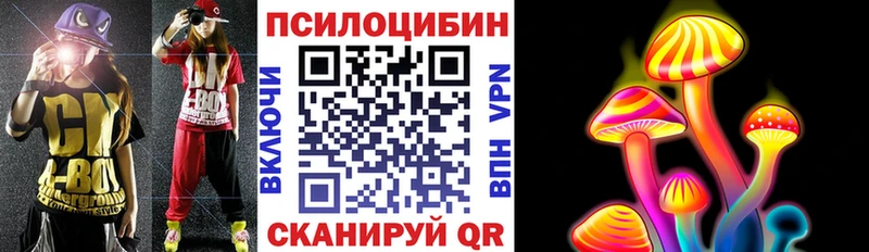 Купить  Черняховск  Галлюциногенные грибы Cubensis 